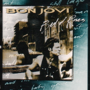 竹有纪在线观看
